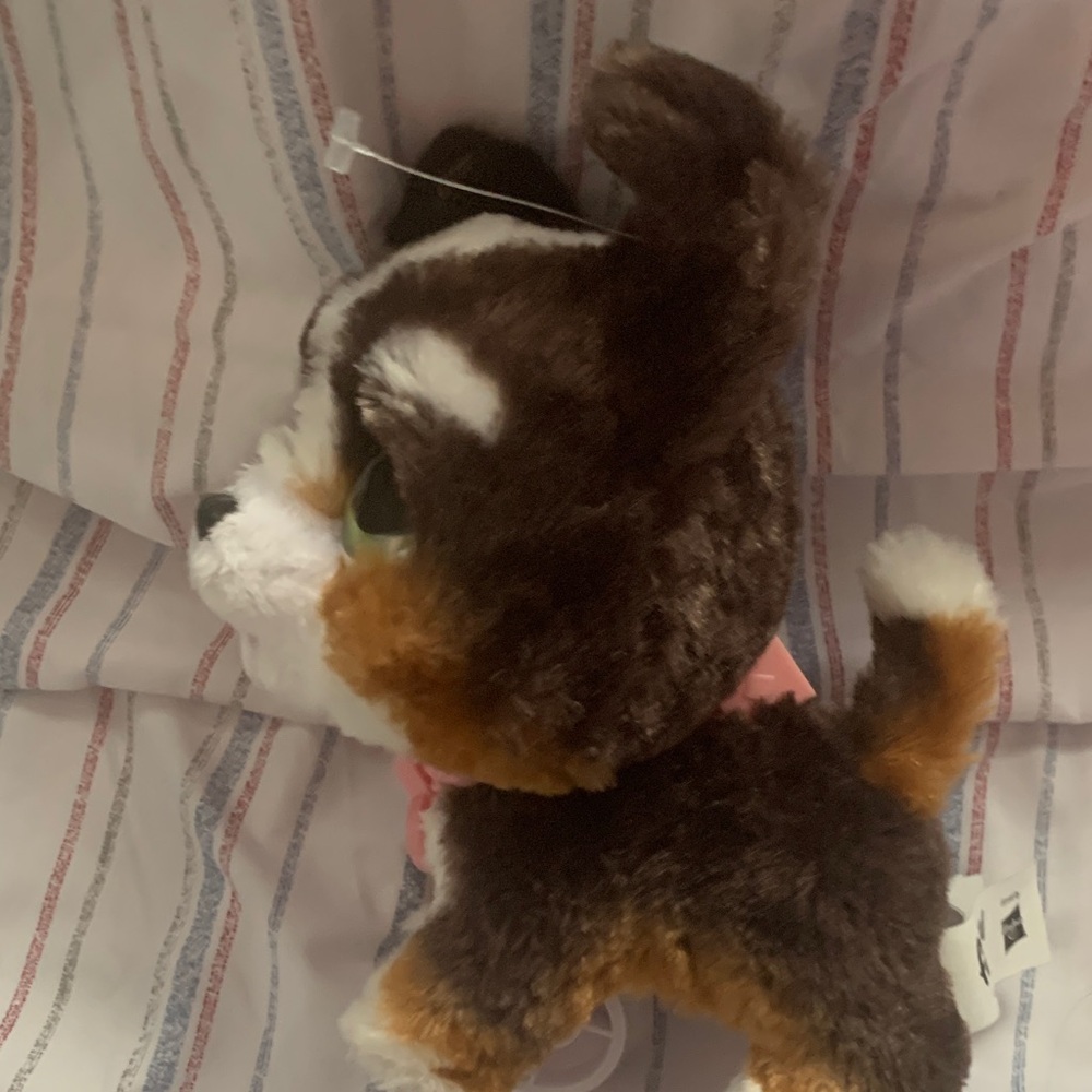 Adorable Brown and White Plush Puppy Toy - Picture 8 of 8